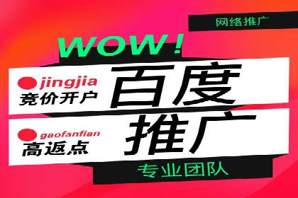 百度推广案例：企业营销成果展示